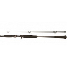 Кастинговое Удилище BFT Raptor G2 Jerkbait R2TJ66 201 см 150 гр  6,6  75-BFT-R2TJ66-2 — цена и наличие в каталоге