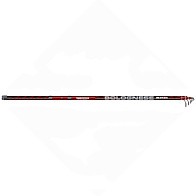 Болонское Удилище Salmo Team Bolognese 600 см     5550-600 — варианты, разновидности модели