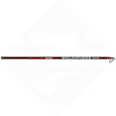 Болонское Удилище Salmo Team Bolognese 600 см     5550-600 — цена и наличие в каталоге