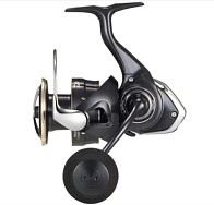 Катушка Daiwa Freams LT5000-C  26  B0000532301 — варианты, разновидности модели