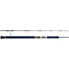 Спиннинг Hearty Rise Deep Blue Jigging 53S/250G 161 см 150 - 250 гр    DB-53S/250G — цена и наличие в каталоге