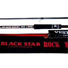 Спиннинг Xesta Black Star Rock S83MH 253 см 10 - 35 гр  Versatile Multi Rocker  XBSR-S83MH — цена и наличие в каталоге