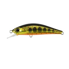 Воблер DUO Spearhead Ryuki 50S Takumi MCC4084 Gold Yamame 4 гр   DUO-33368 — цена и наличие в каталоге