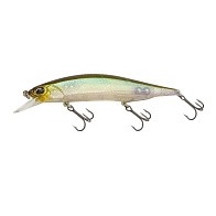 Воблер DUO Realis Jerkbait 100SP Silent GEA3006 Ghost Minnow 14,5 гр   DUO-13343 — варианты, разновидности модели