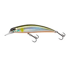 Воблер DUO Spearhead Ryuki 95S AHA4006 Ayu OB 15 гр   DUO-11472 — цена и наличие в каталоге