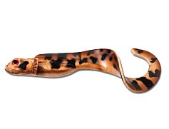 Силиконовая приманка Nettel Laken 280 мм 1 шт Natural Eelpout Kanalgratis  NL-N-EELPOUT-10 — цена и наличие в каталоге