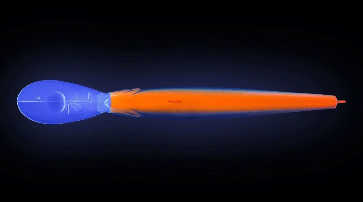 Воблер Strike Pro Jumper DR 90SP A142-264 Arctic Char 11 гр   EG-192BL-SP#A142-264 — крупный план
	                                    1