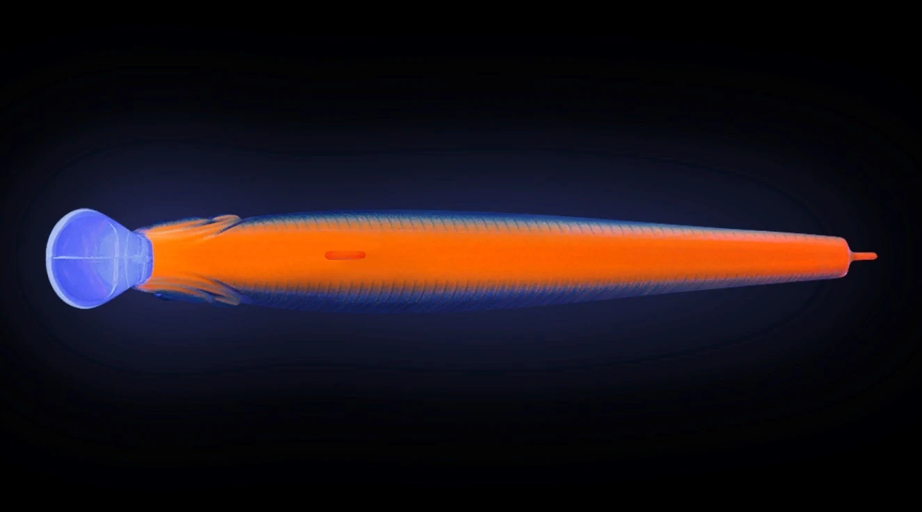 Воблер Strike Pro Jumper 110SP A142-264 Arctic Char 16,3 гр   EG-192C-SP#A142-264 — крупный план
	                                    1