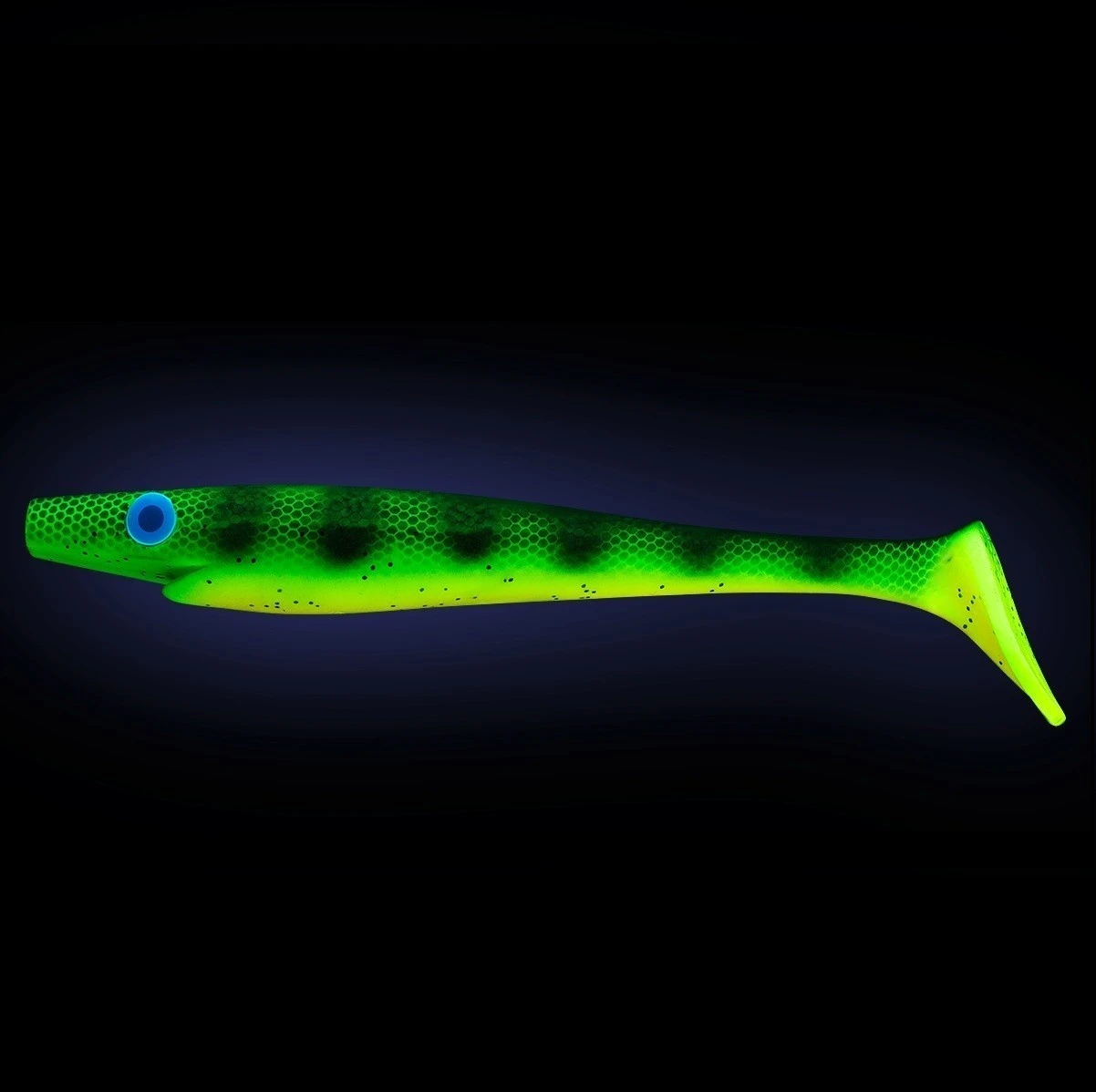 Силиконовая приманка Strike Pro Pig Shad 172A 230 мм 1 шт Orange Belly Perch   SP-172A#C039 — крупный план
	                                    1