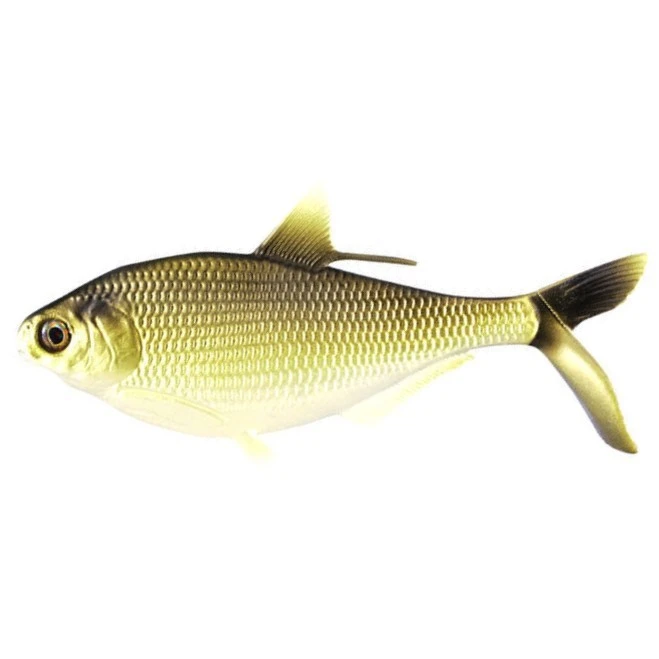 Силиконовая приманка 13 Fishing B.A.M.F. Shad 8 203 мм 1 шт Gold Retriver   CB-BAMF8-3 — характеристики,  особенности конструкции