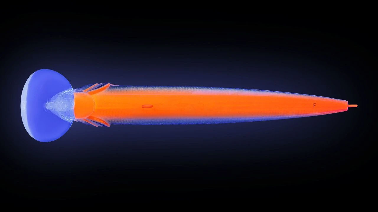 Воблер Strike Pro Beakster 110 A56RGB Smoked Skeleton Lightning 13,7 гр   EG-124C#A56RGB — крупный план
	                                    1