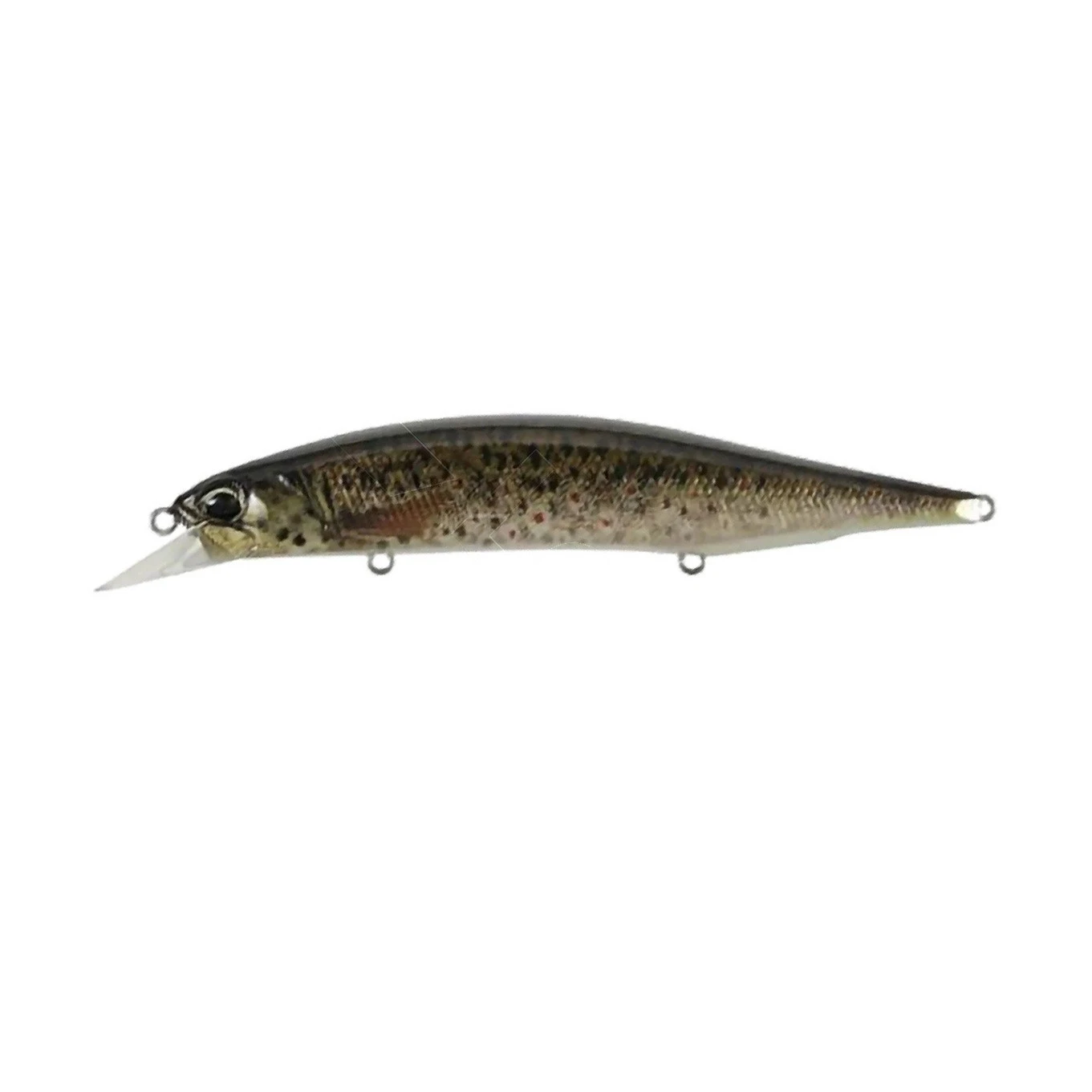 Воблер DUO Realis Jerkbait 120SP Pike Limited CCC3815 Brown Trout Nd 17,8 гр   DUO-80570 — характеристики,  особенности конструкции