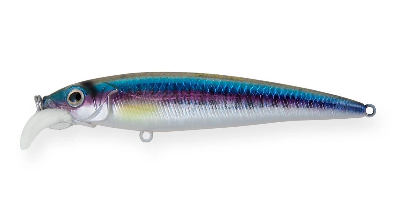 Воблер Strike Pro Beakster 110 A210-SBO-RP Rainbow Ghost Wakasagi 13,7 гр   EG-124C#A210-SBO-RP — характеристики,
	                                    особенности конструкции