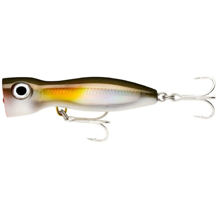 Воблер Rapala X-Rap Magnum Xplode 170 AYU 145 гр   XRMAGXP170-AYU — характеристики,
	                                    особенности конструкции